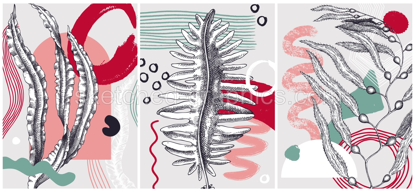 Collage-style seaweeds vector illustration. Sketched underwater plants banner set. Trendy design with botanical elements and geometric shapes. Elegant algae for sketch poster, card, and wall art. Illustration